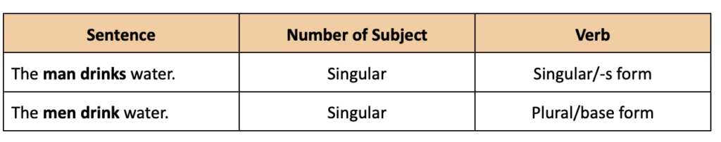 grammar rule for language exams: subject must agree with verb (singular subject needs the -s form of the verb while a plural subject needs the base form of the verb)