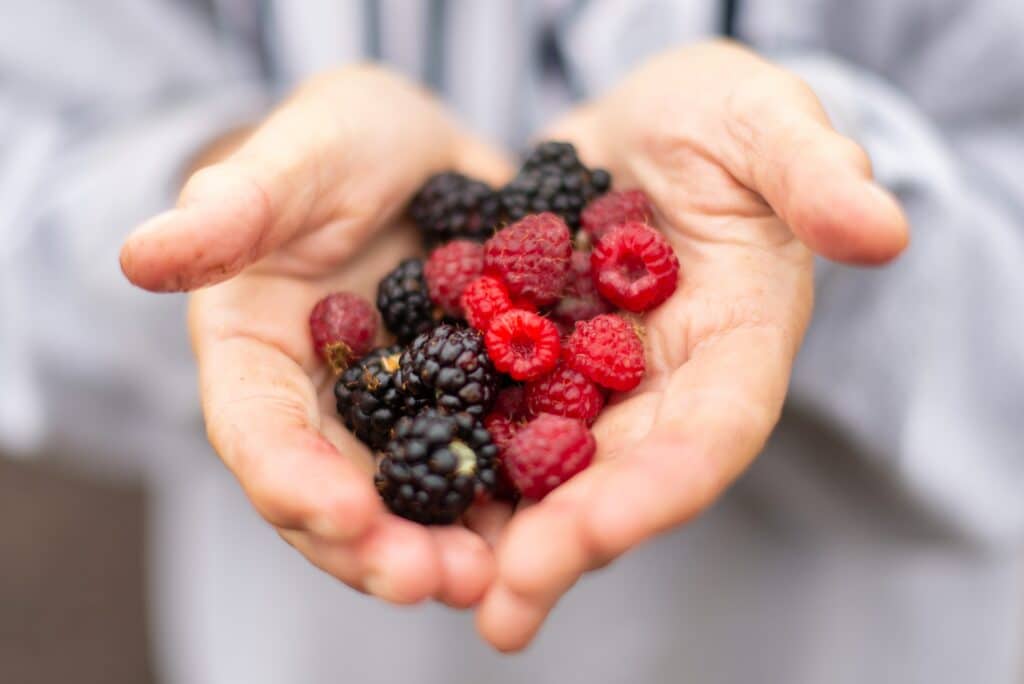 food to eat before a test: berries